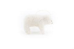 Polar cub