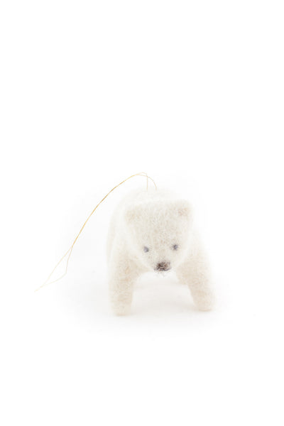 Polar cub